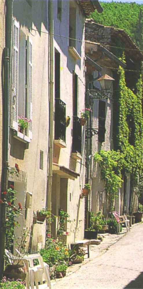 Die Rue St. Sauveur in Rocbaron mit begrünten Fassaden und Blumentöpfen